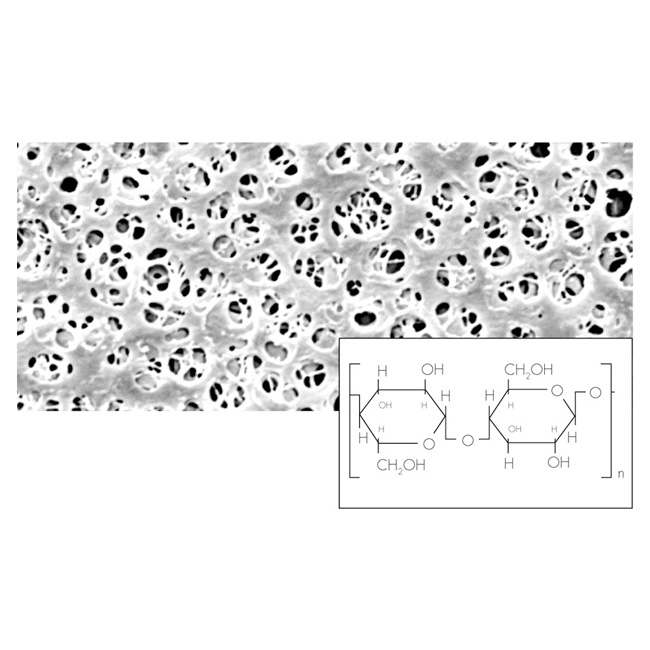 Membrane Filter