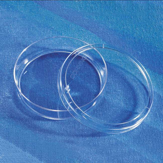 Corning® 100mm TC-Treated Culture Dish