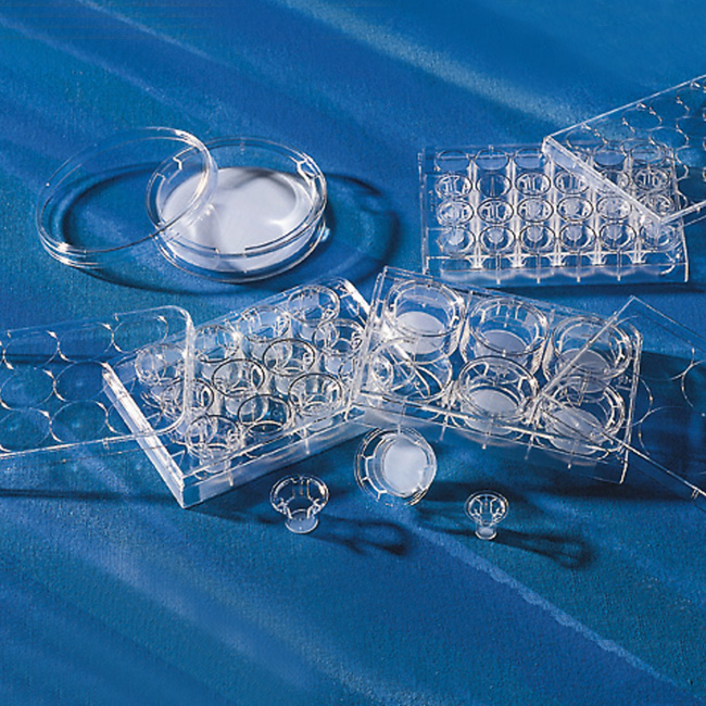 Costar 6.5mm Transwell with 8.0µm Pore PLycarbonate (PC) Membrane Insert, Sterile